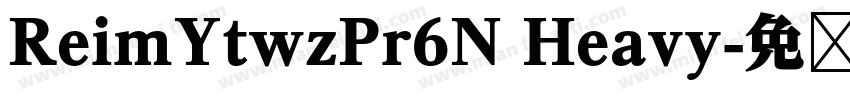 ReimYtwzPr6N Heavy字体转换